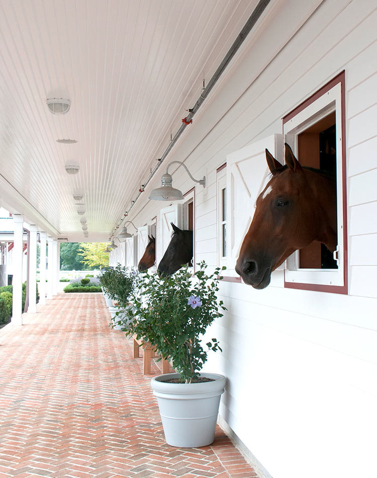Custom Window Architecture at Hamptons Horse Farm
