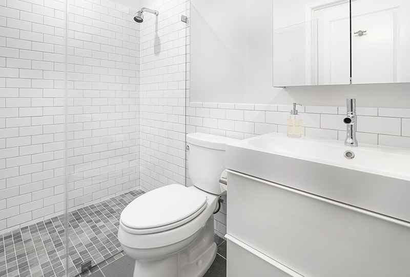 Modern Interior Bathroom Design with Curbless Shower